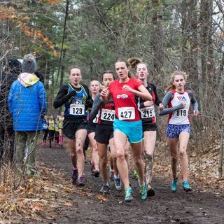 2019 AO Cross Country Championships