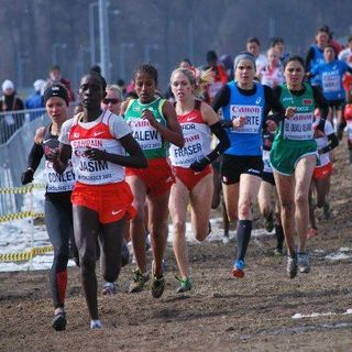 Le canada dans le top 10 aux mondiaux de cross