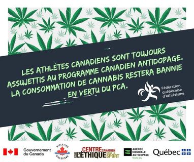 Légalisation du cannabis : tout ce que vous devez savoir